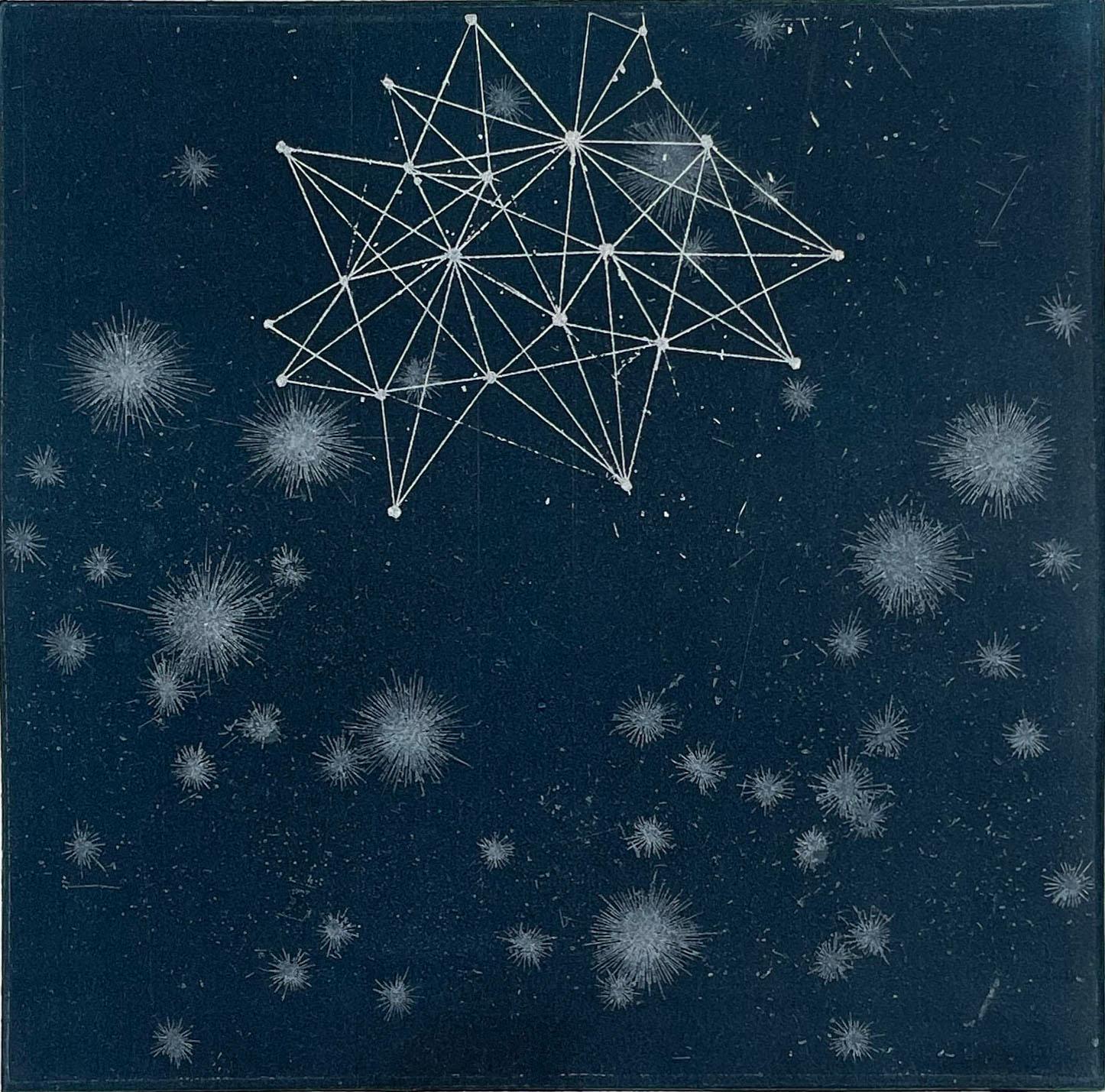 Still-Life Print de Seiko Tachibana - Cosmos-Escena A-1