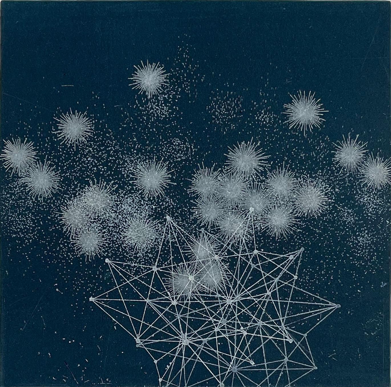 Seiko Tachibana Still-Life Print - Cosmos-Scene A-18