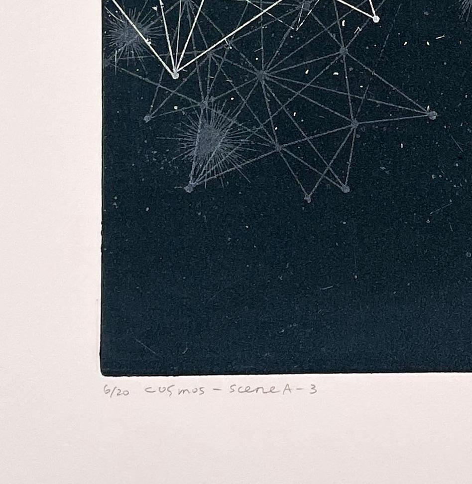 Cosmos-Escena A-3 - Still-Life Print Negro de Seiko Tachibana