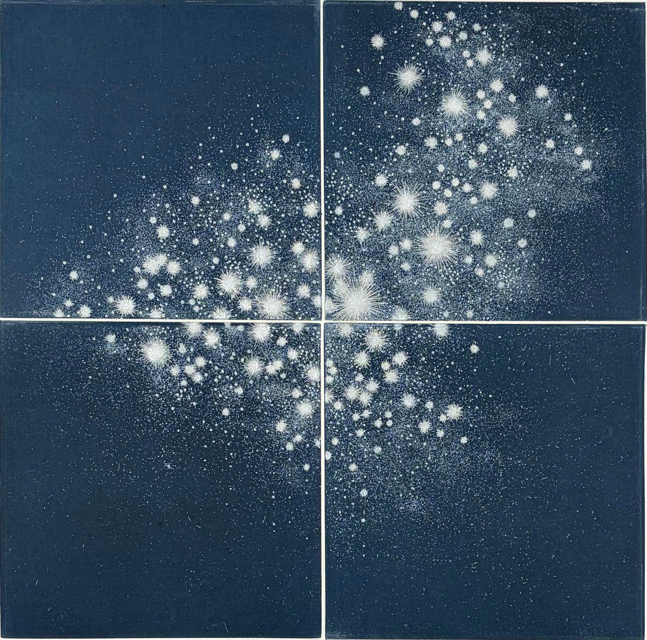 Seiko Tachibana Still-Life Print - Cosmos-Scene B-1
