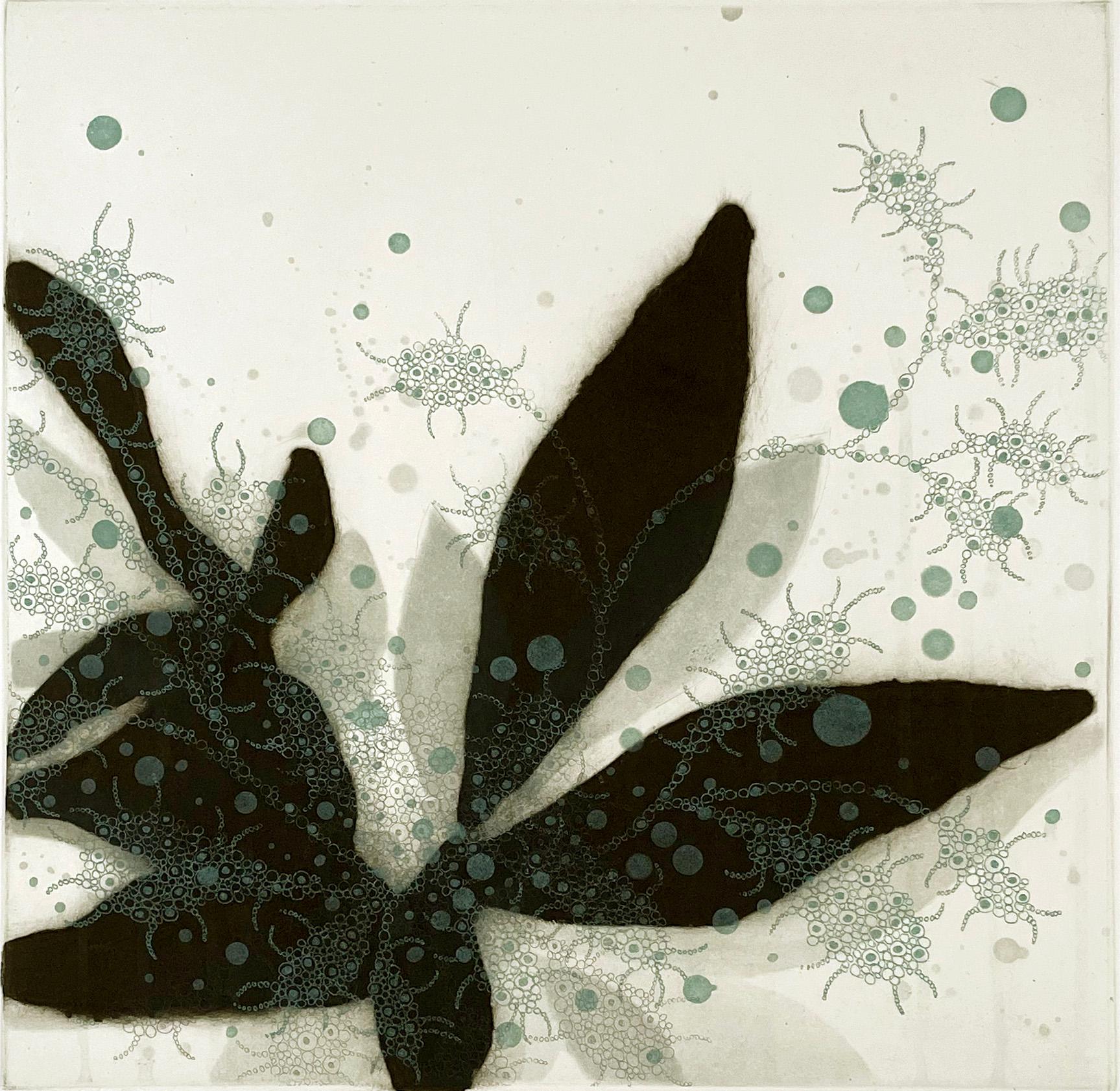 Carborundum and intaglio. Signed and numbered from the edition of 25.  Delicate organic shapes.

Tachibana’s prints take their inspiration from nature, a meditation on the forms and shapes of water, ferns and the basic elements of life.

Seiko