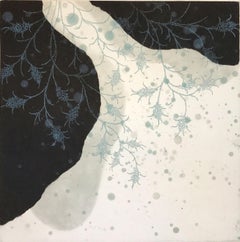Fern-25