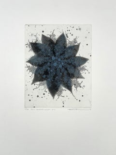 effetto felce-farfalla  b-5