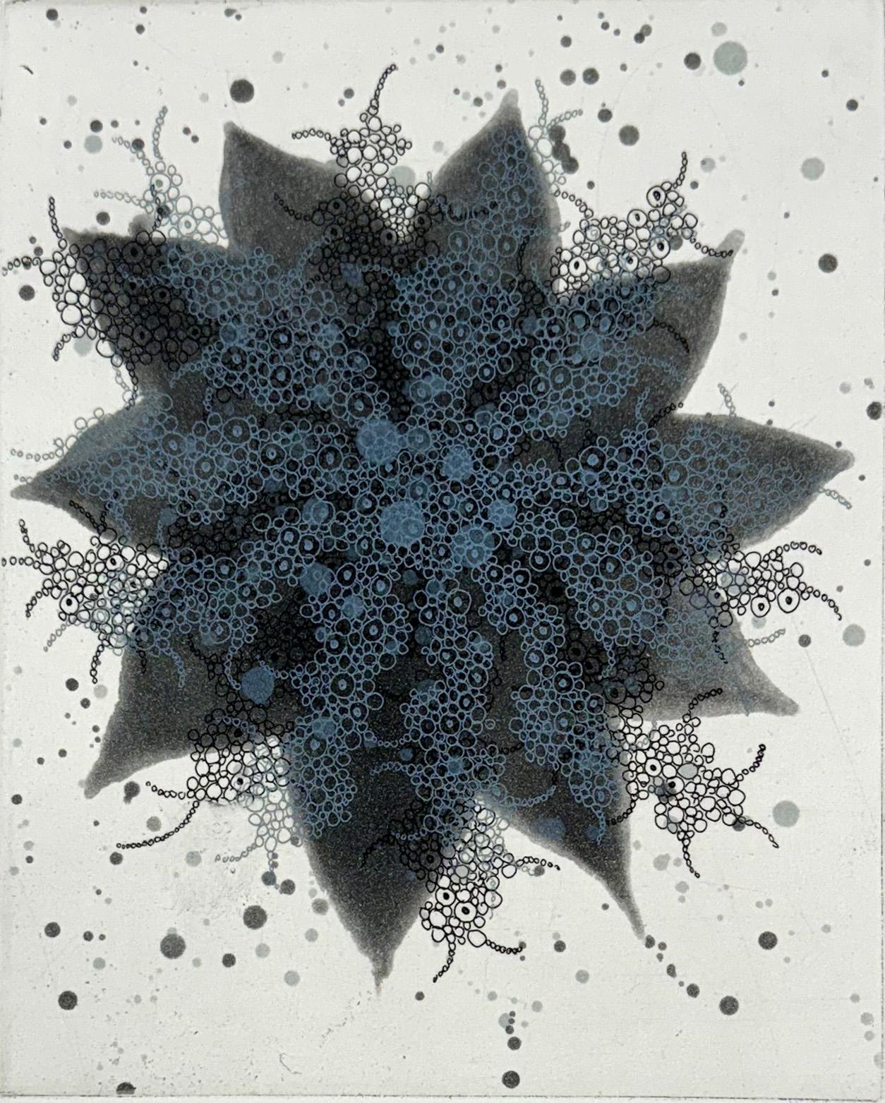 Seiko Tachibana Abstract Print - fern-butterfly effect  b-5
