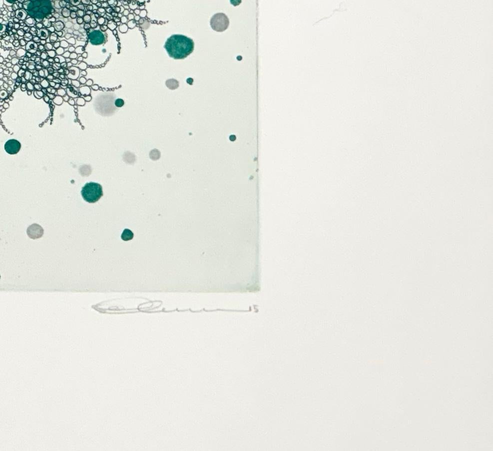 Medium: Stichtiefdruck    
Jahr: 2015
Signierter Künstlerabzug aus der Auflage von 25 Stück
Bildgröße: 7,5 x 6 Zoll
Papierformat: 15 x 11 Zoll
Vom Künstler signiert und nummeriert.

Seiko Tachibanas Grafiken sind von der Natur inspiriert, eine