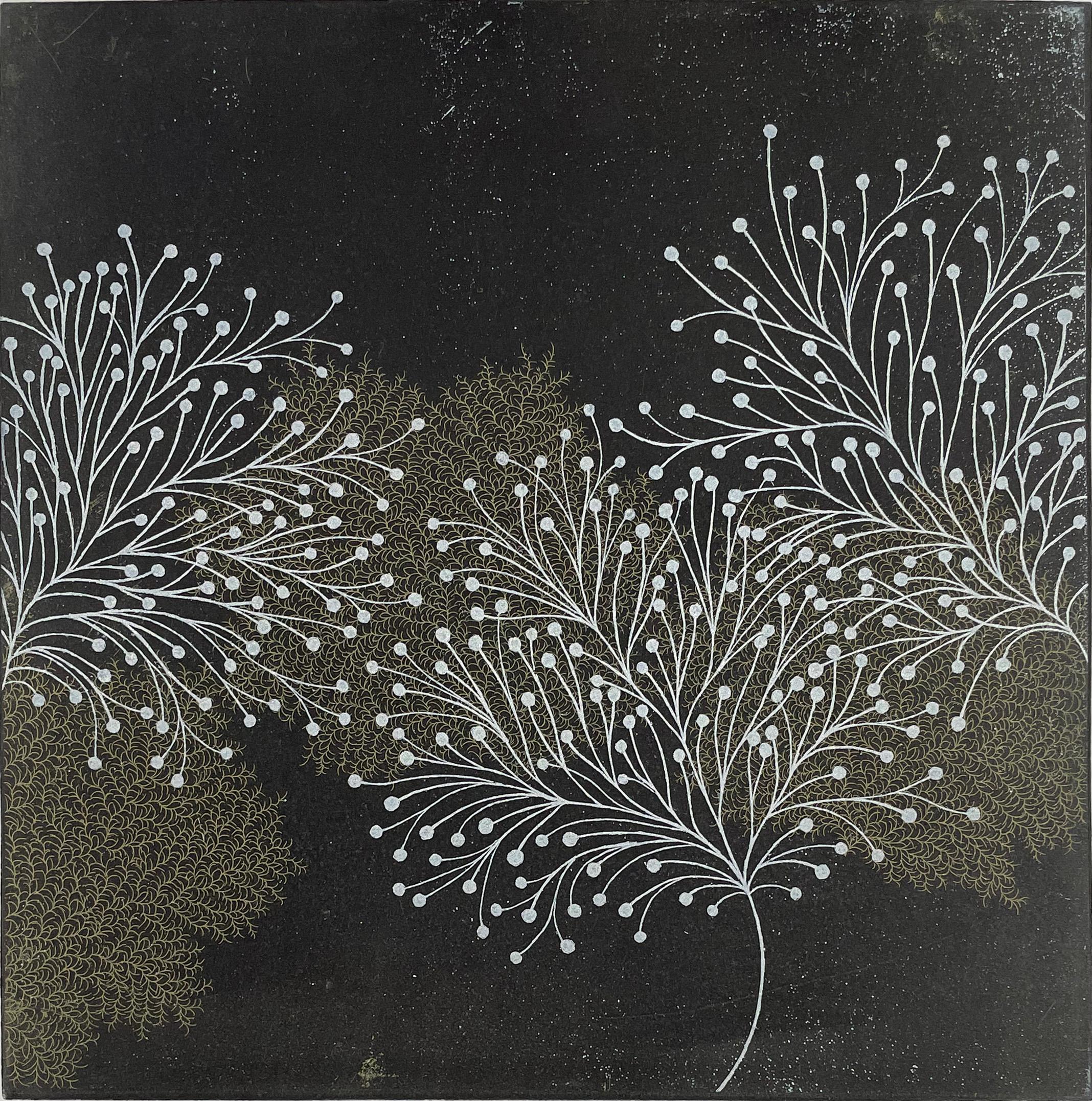 Carborundum and intaglio. Signed and numbered from the edition of 25. 

Tachibana’s prints take their inspiration from nature, a meditation on the forms and shapes of water, ferns and the basic elements of life. Fractals have become the focus of her