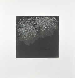 fractal-ssi-11a, de Seiko Tachibana