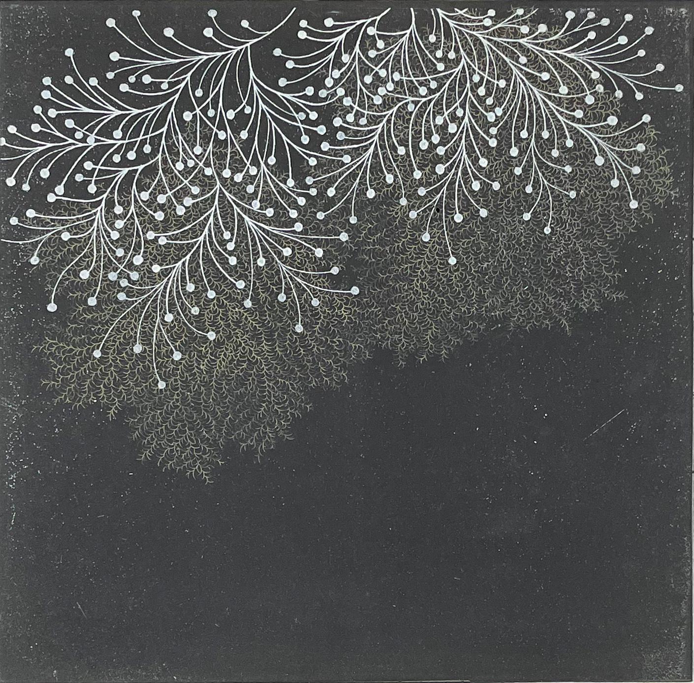 Carborundum and intaglio. Signed and numbered from the edition of 25. 

Tachibana’s prints take their inspiration from nature, a meditation on the forms and shapes of water, ferns and the basic elements of life.

Seiko Tachibana was born in Japan
