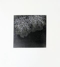 Fractal - ssi - 11a