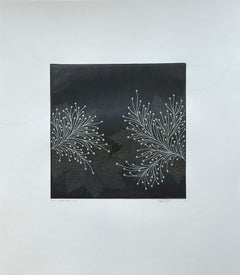 Fractal - ssi - 12a
