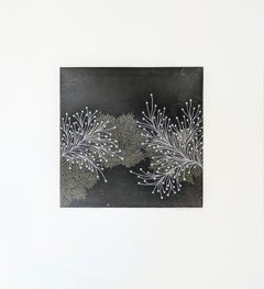 Fractal - ssi - 12c