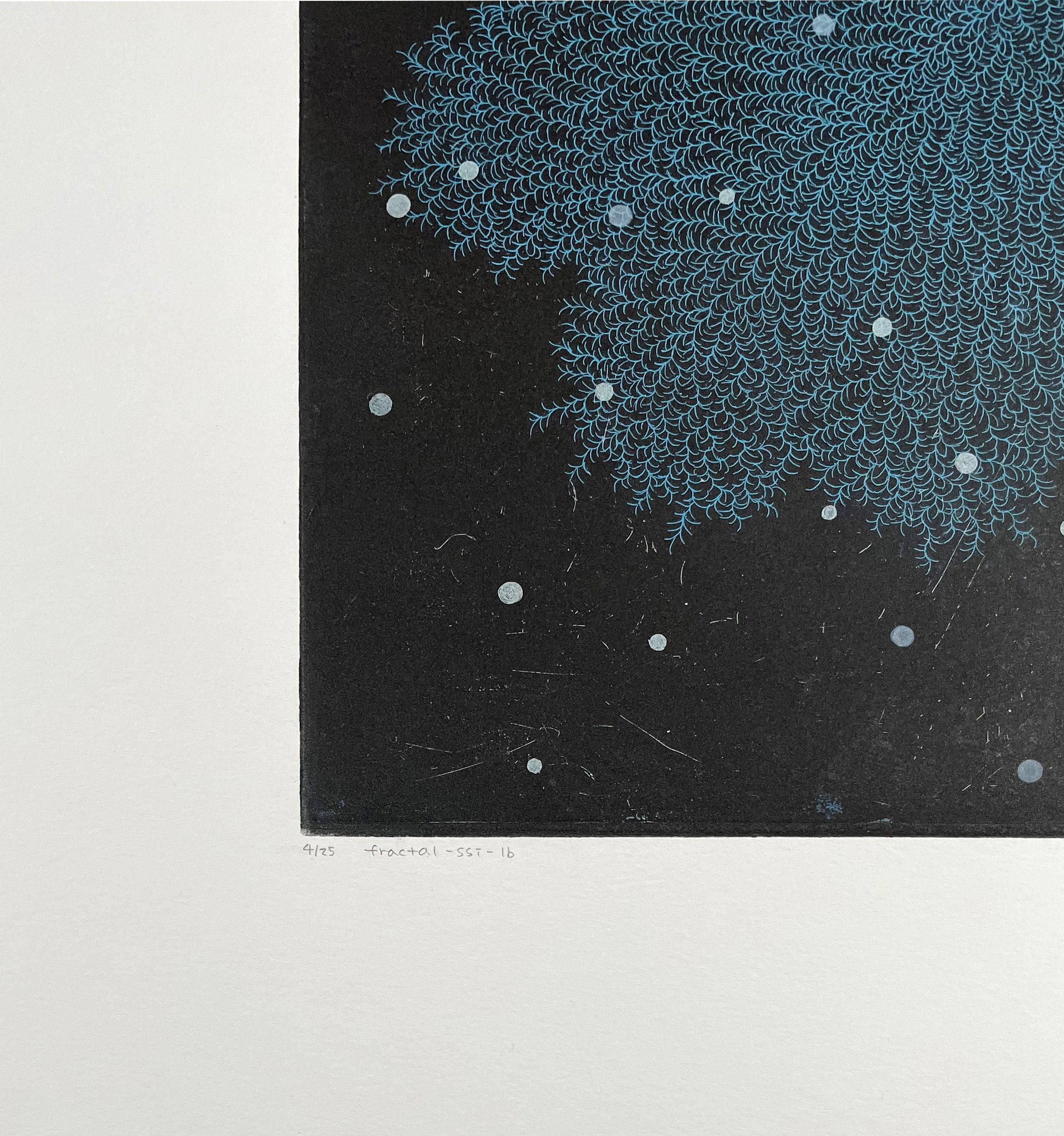 fractal-ssi-1b, by Seiko Tachibana For Sale 2