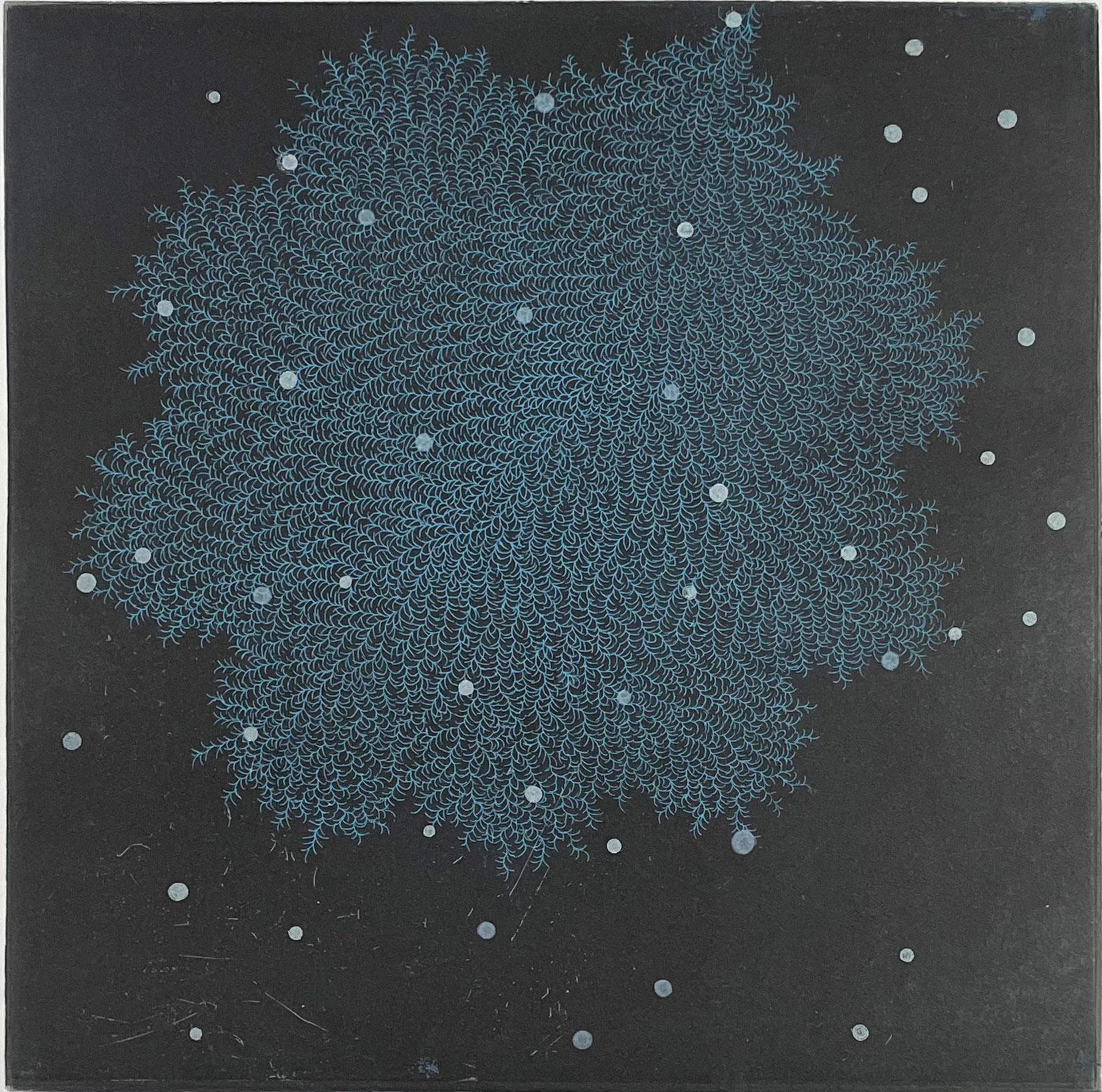 Carborundum and intaglio. Signed and numbered from the edition of 25. 

Tachibana’s prints take their inspiration from nature, a meditation on the forms and shapes of water, ferns and the basic elements of life. Fractals have become the focus of her