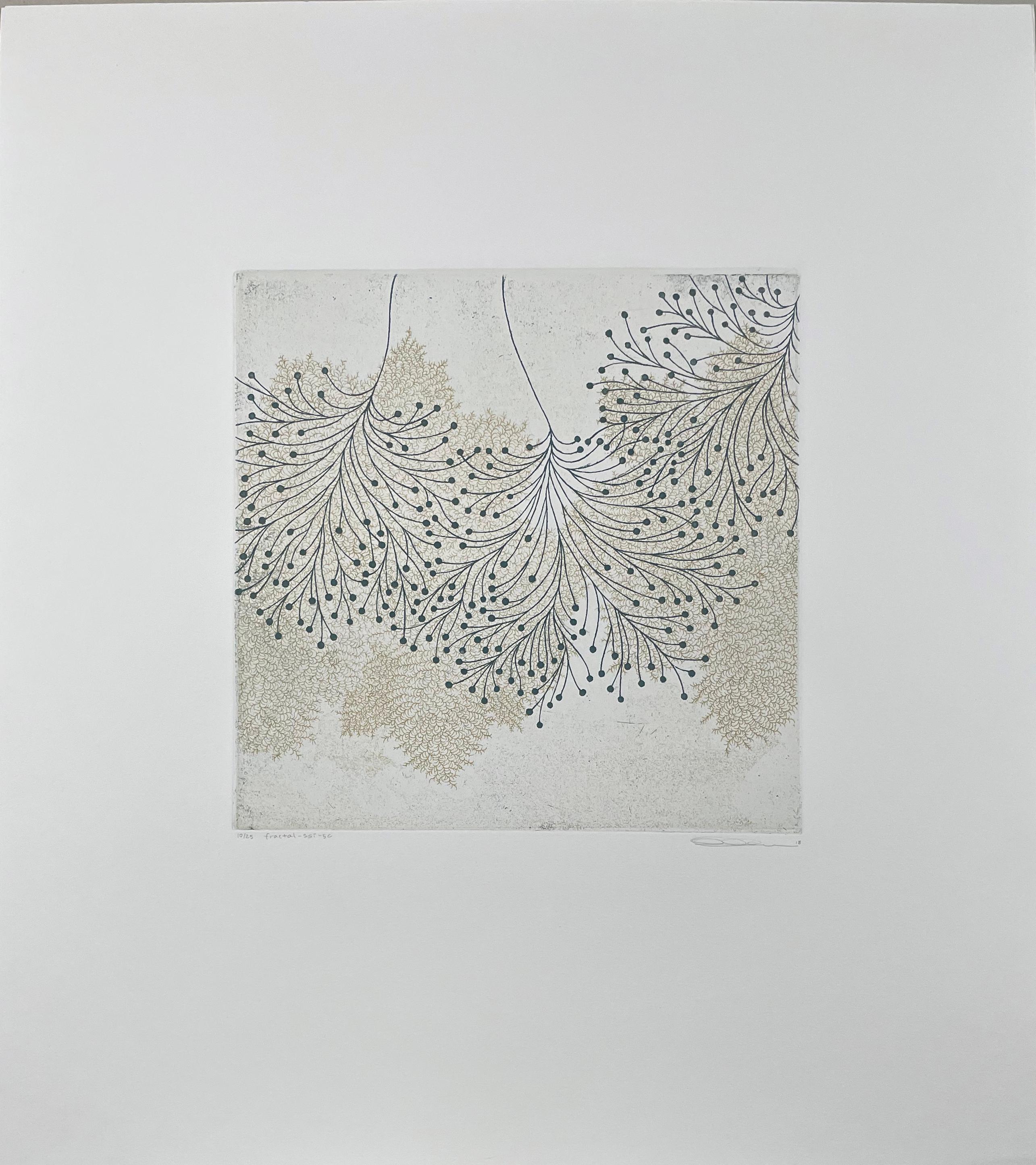 Carborundum and intaglio. Signed and numbered from the edition of 25. 

Tachibana’s prints take their inspiration from nature, a meditation on the forms and shapes of water, ferns and the basic elements of life. Fractals have become the focus of her