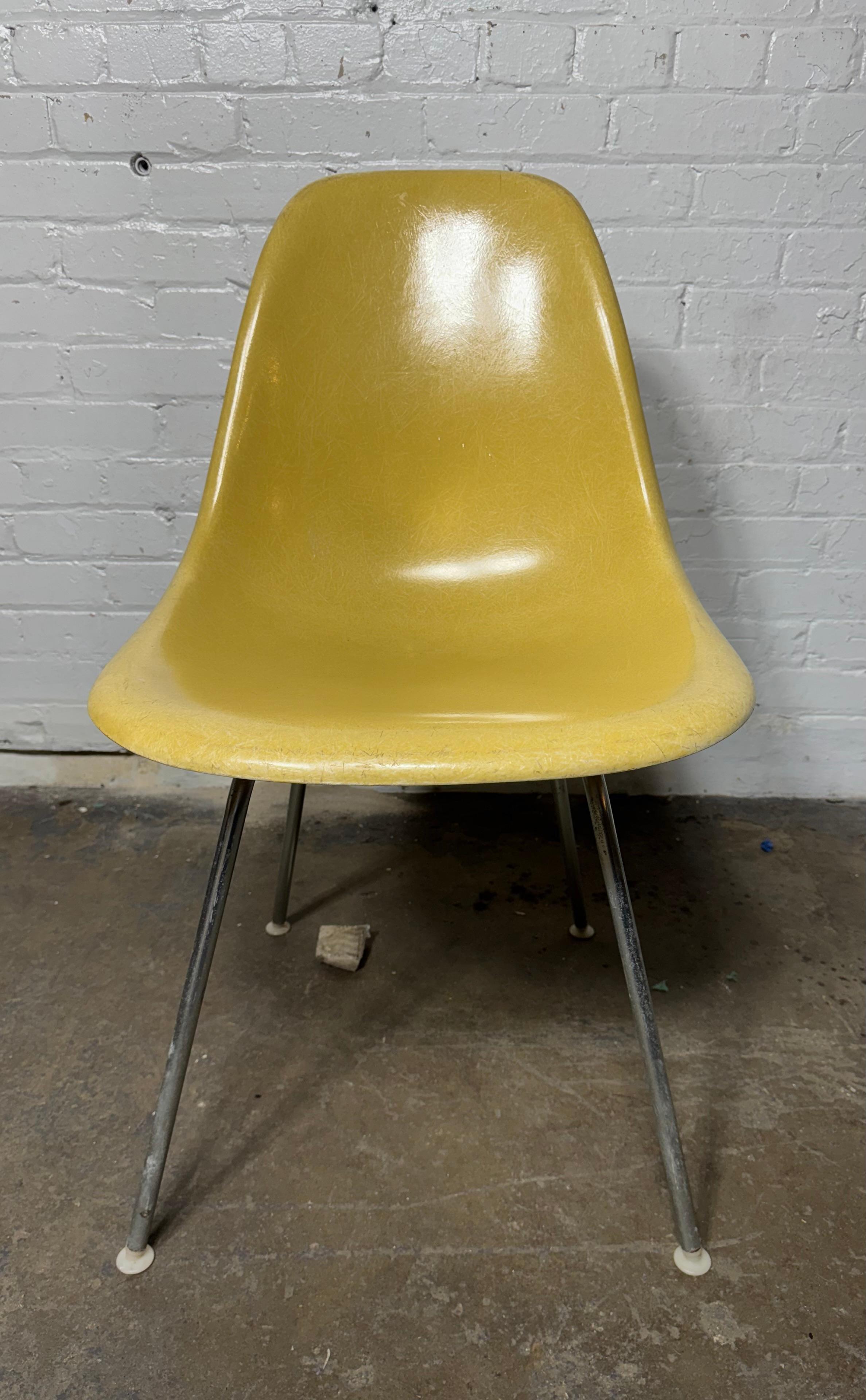 Seldom seen shell color 