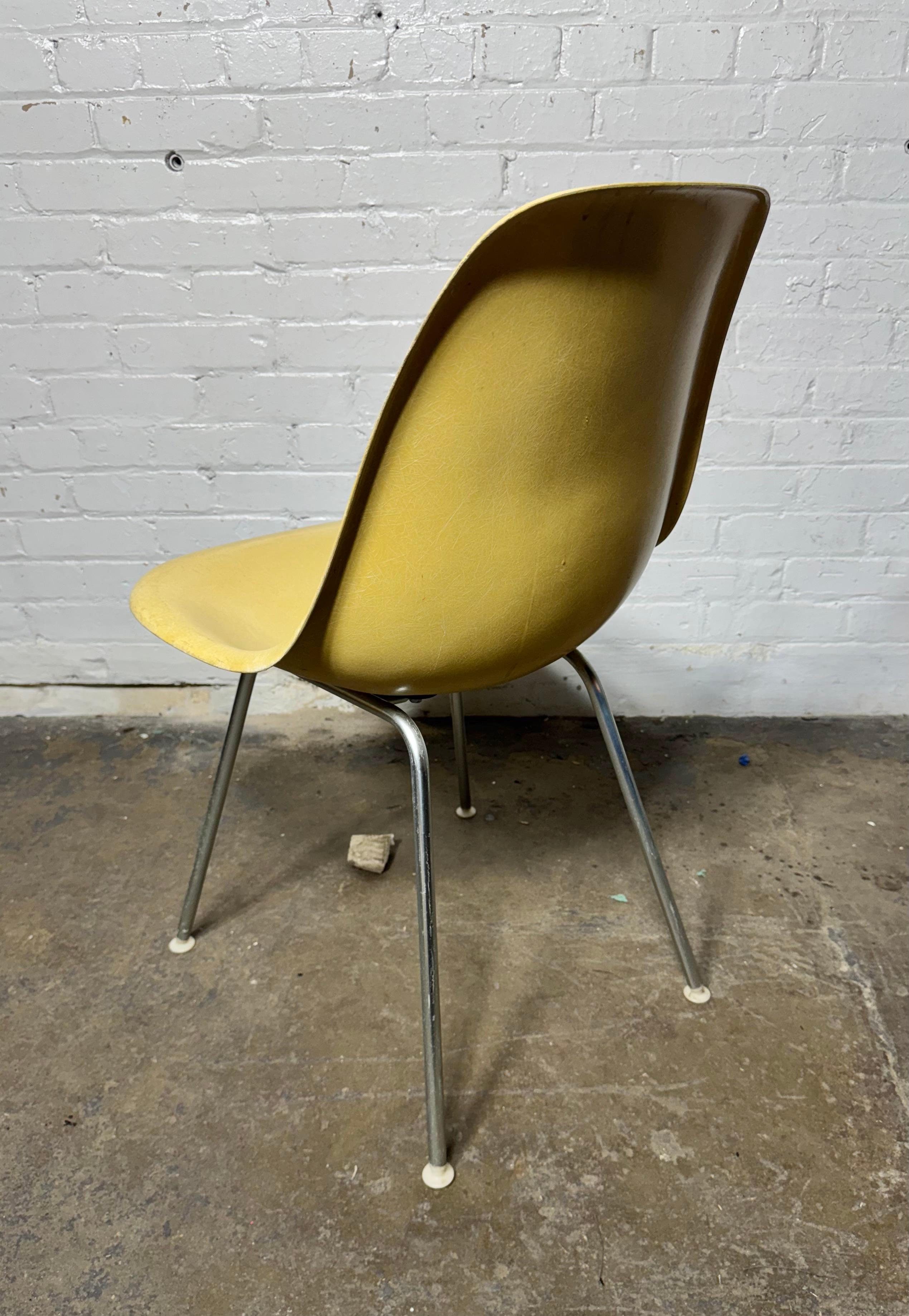 Seldom seen shell color 
