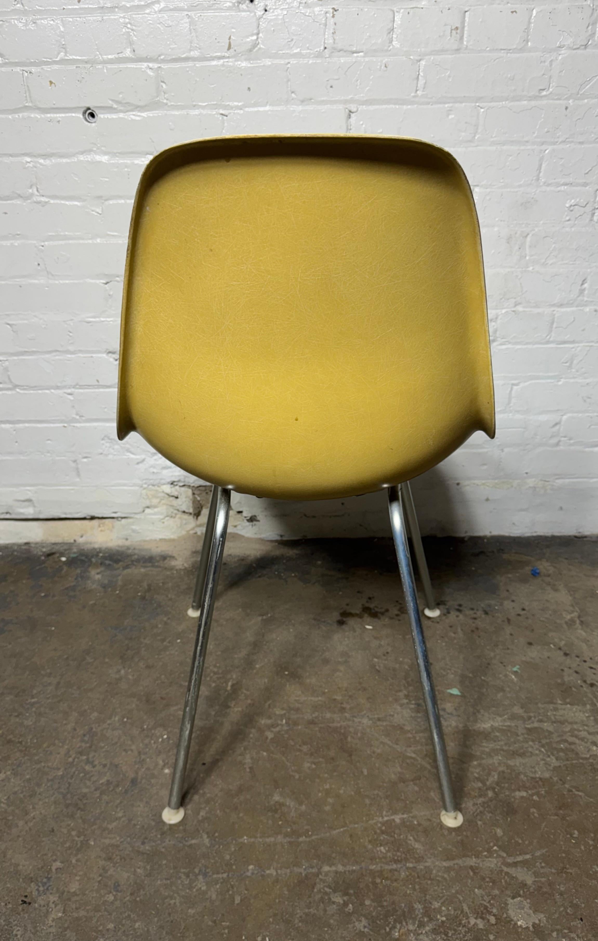 Steel Seldom seen shell color 