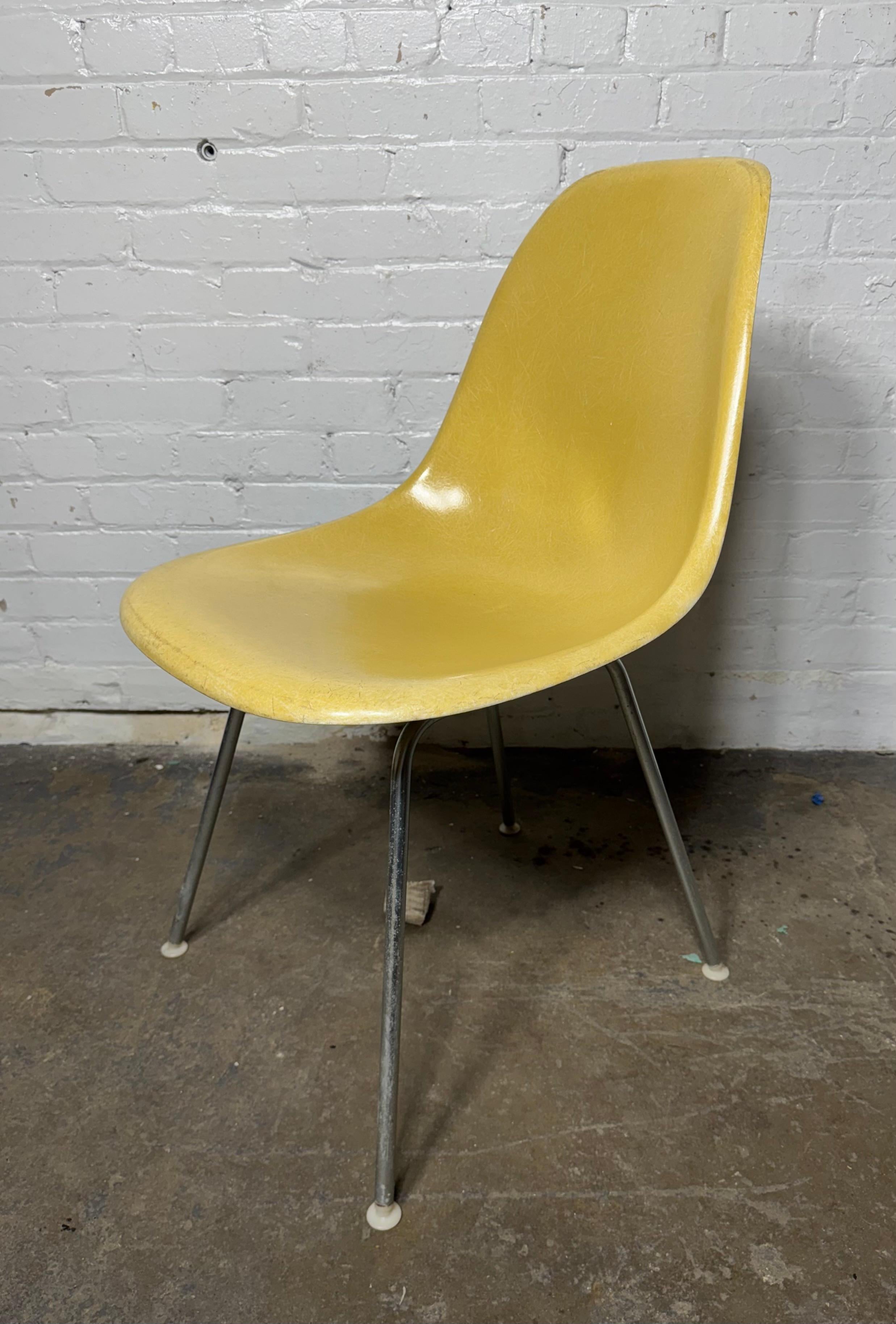 Seldom seen shell color 