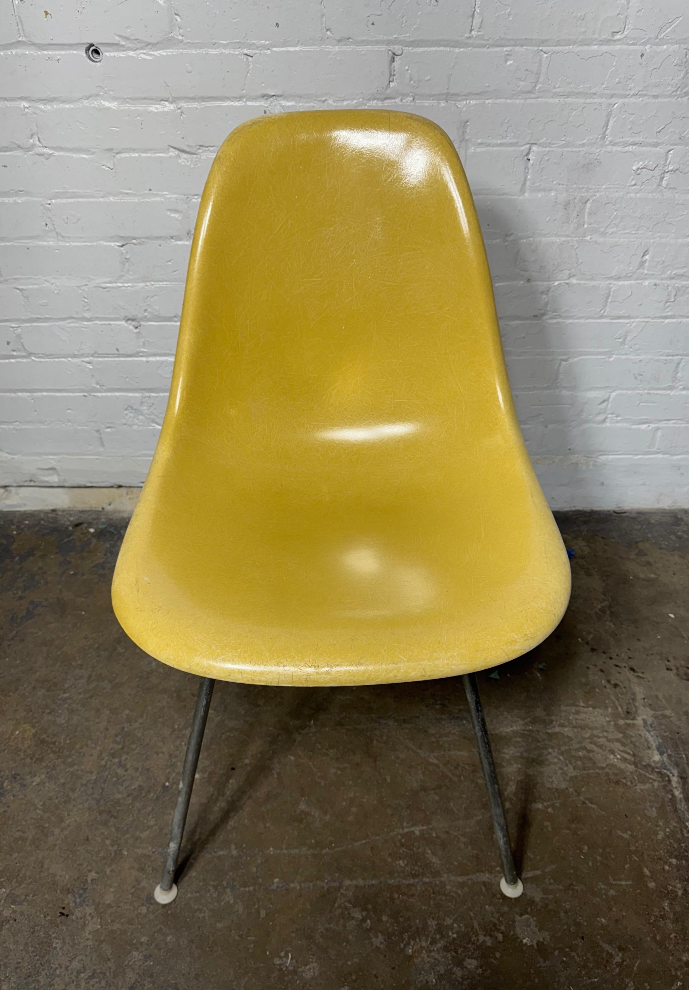 Seldom seen shell color 