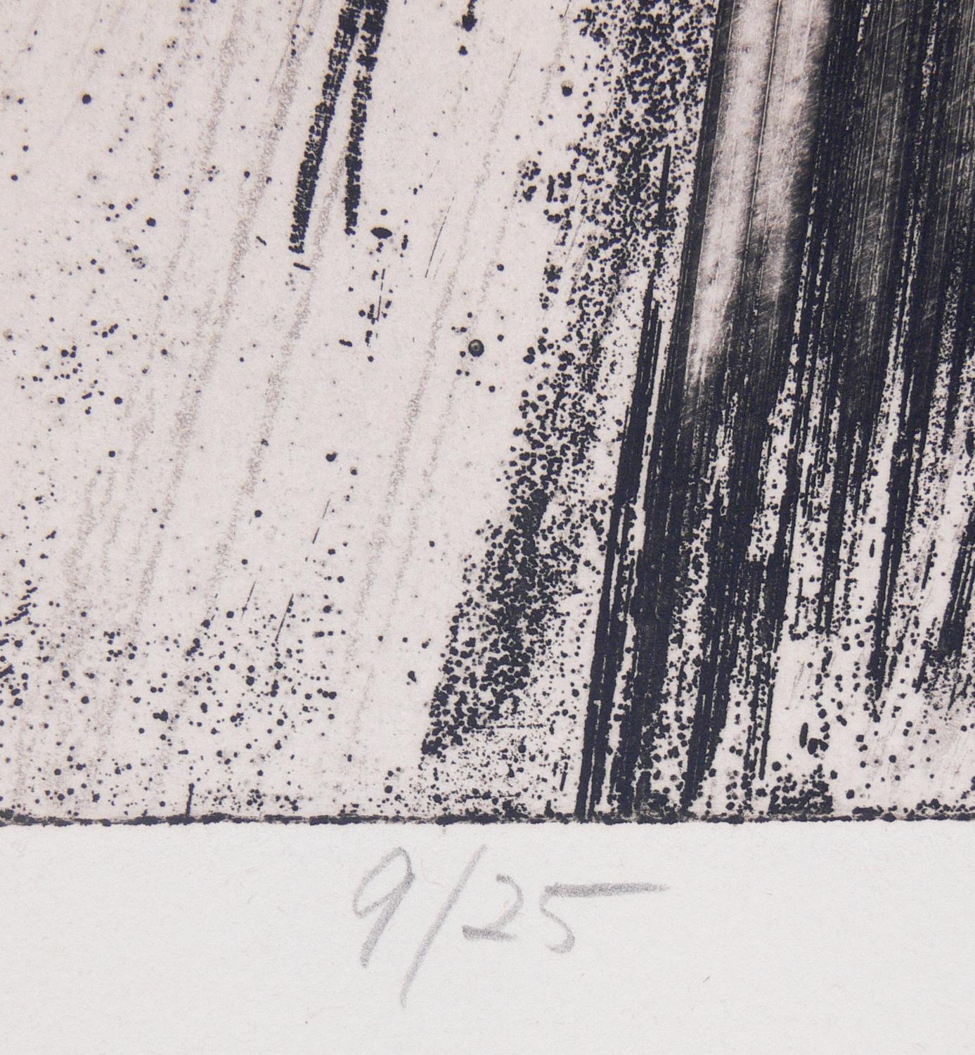Selection of Black and White Abstract Prints In Good Condition For Sale In Atlanta, GA