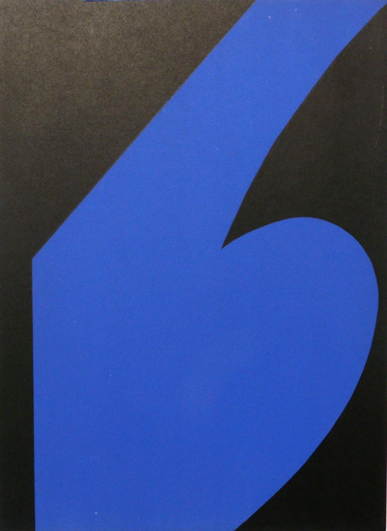 Mid-Century Modern Selection of Ellsworth Kelly Prints For Sale