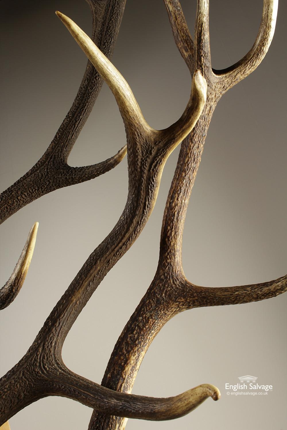 European Selection of Large Deer Skulls and Antlers, 20th Century For Sale