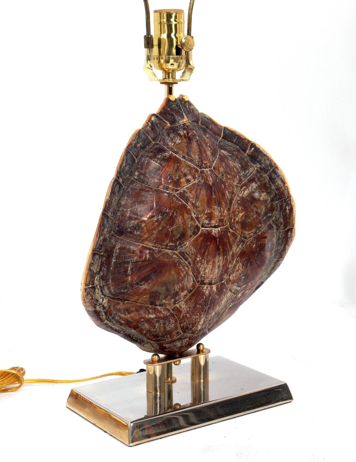 Selection of natural specimen mounts, French, circa 1950s. From left to right, as seen in the first photo, they are:
1) Tortoise shell and brass lamp, French, circa 1950s. Rewired. It measures 23