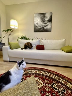 Crossroads, Painting, Acrylic on Wood Panel