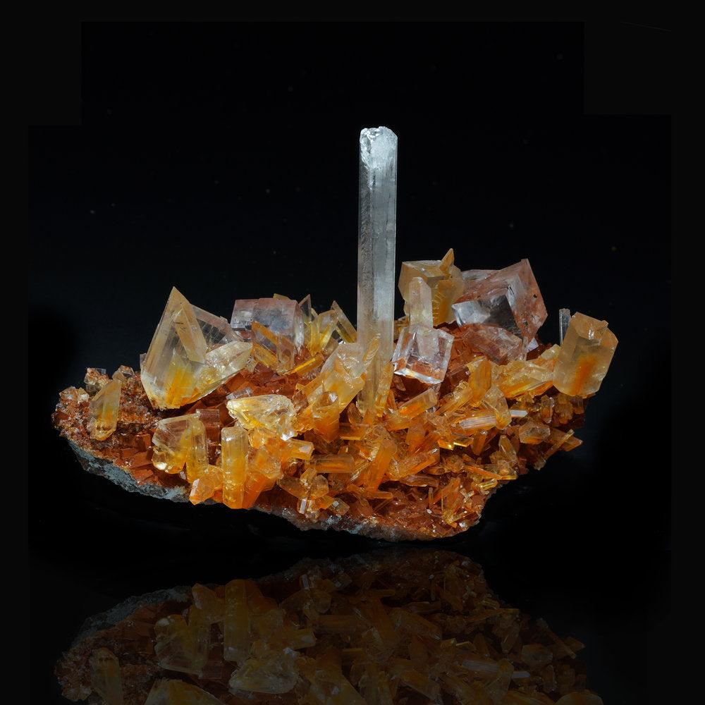 Un esemplare con bellissimi cubi di Halite chiara su una matrice di Selenite rivestita di Ematite. Alcuni cristalli di selenite sono stati inclusi con ematite che rende arancione il centro di quella che normalmente sarebbe selenite chiara. Questo