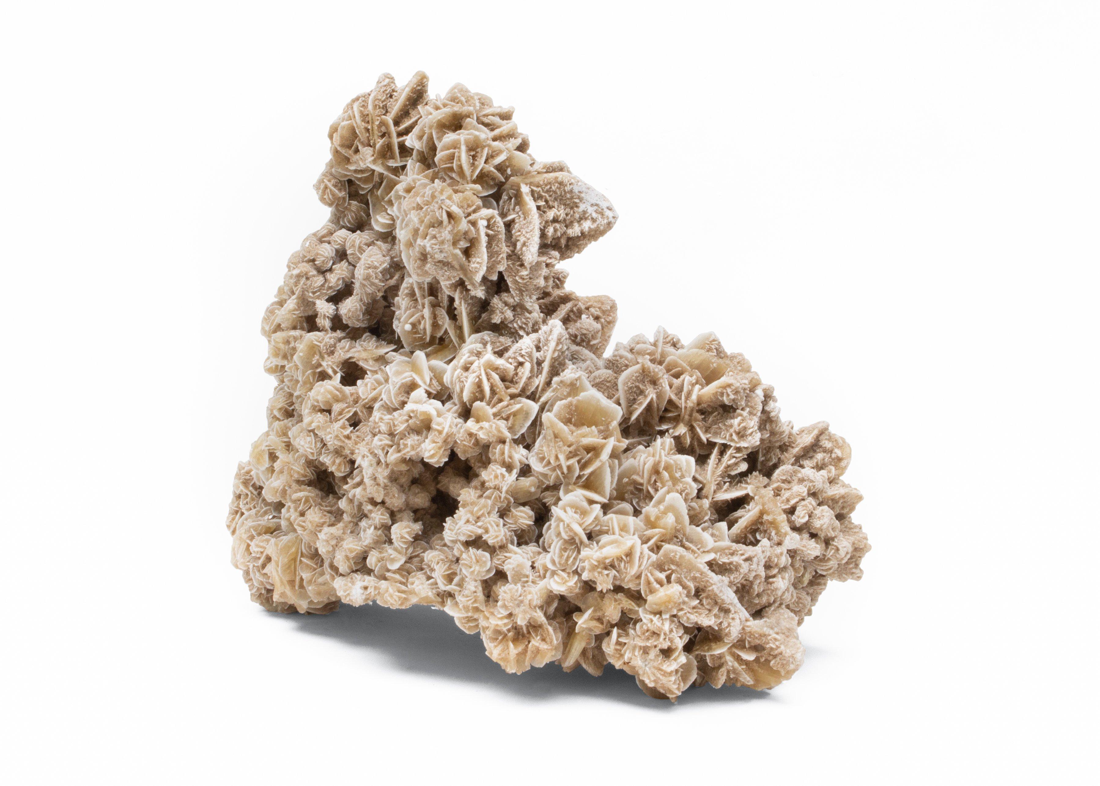 Desert Rose Selenite also known as Gypsum Rose or Sand Rose, is a type of selenite formed from a combination of water, wind, and sand. It is well known for its naturally forming selenite-sand sprouts that emulate rosebuds. This particular form is