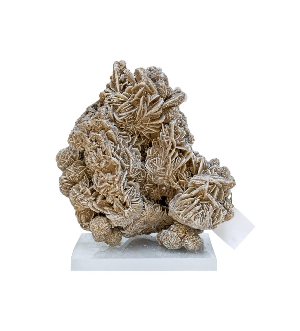 Desert Rose Selenite also known as Gypsum rose or sand rose, is a type of selenite formed from a combination of water, wind, and sand. It is well known for its naturally forming selenite-sand sprouts that emulate rosebuds. This particular form is