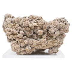 Selenite "Desert Rose" Mineral Mounted on Lucite