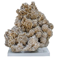Selenite "Desert Rose" Mineral Mounted on Lucite