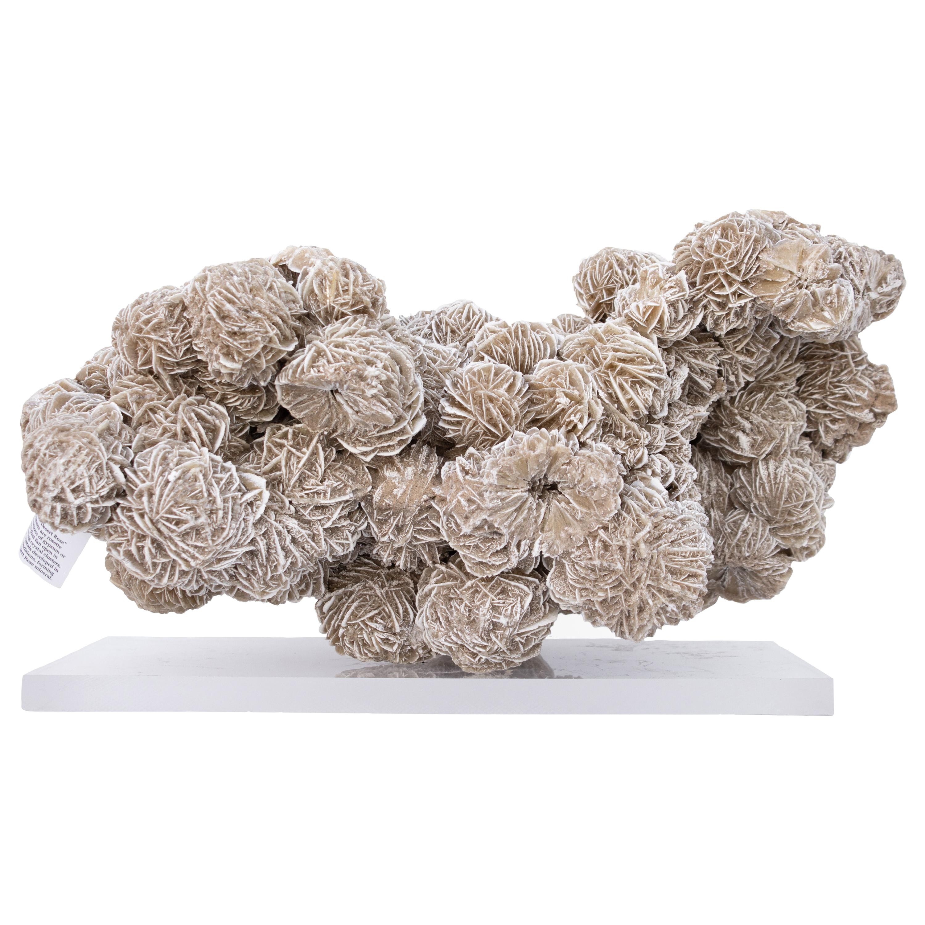 Selenite "Desert Rose" Mineral on Lucite