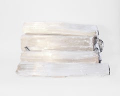 Ceppi di selenite 'Set di 6'