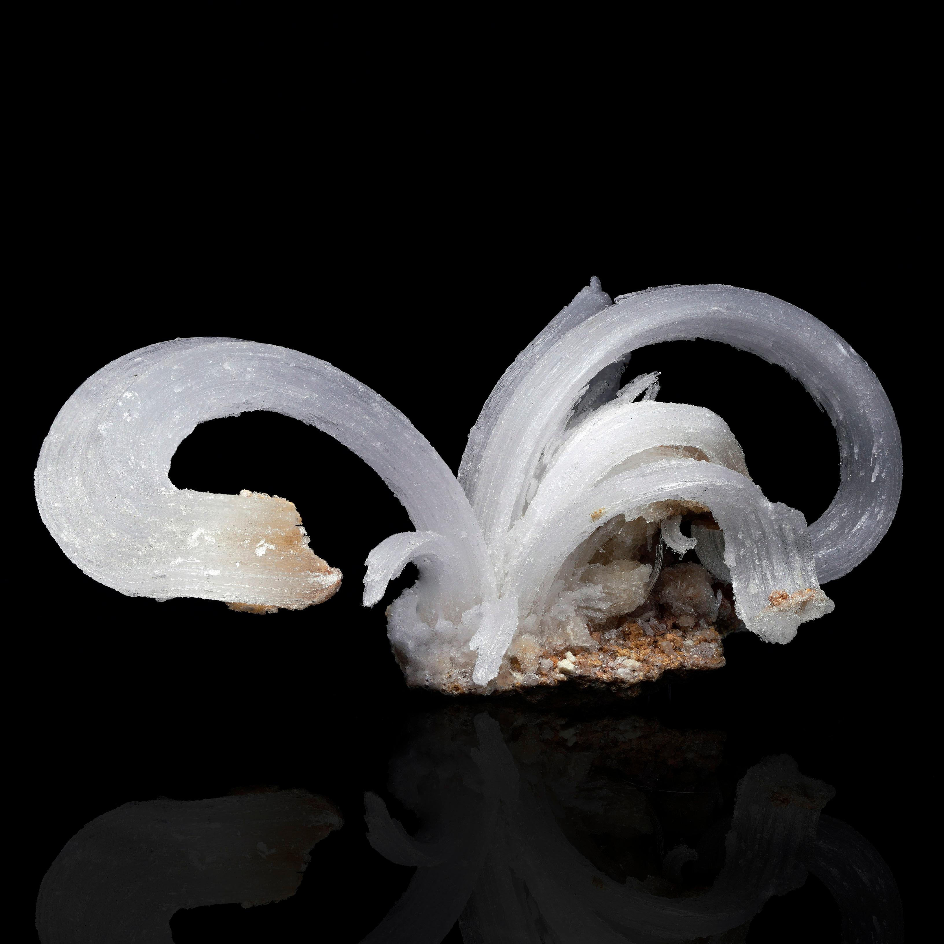 Questo eccezionale esemplare di selenite mostra la rara e ricercatissima formazione 
