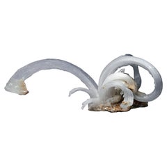 Selenite "Ram's Horns"
