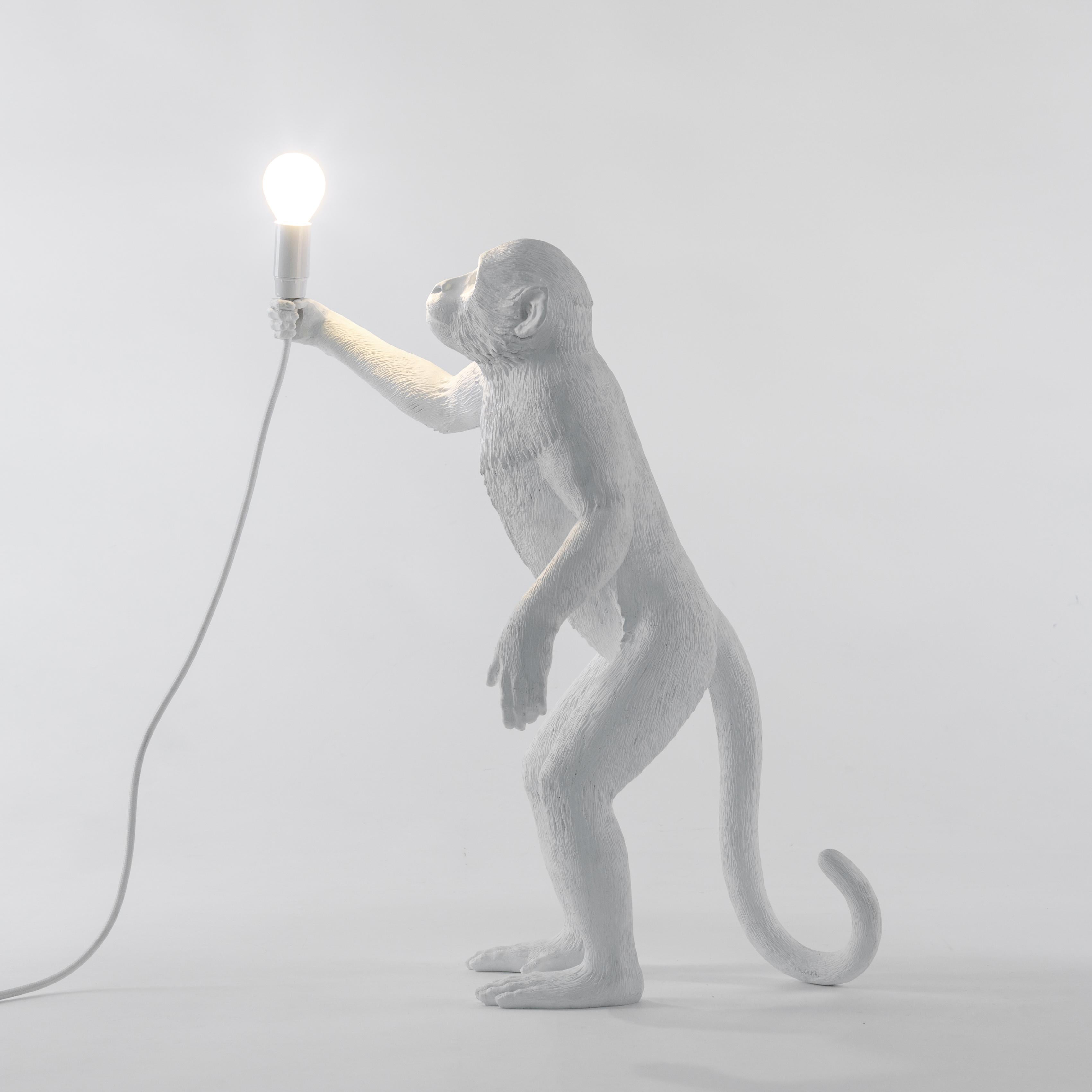 Un singe malicieux a volé votre lampe et c'est maintenant à vous de la récupérer. Cette lampe en résine blanche conçue par Marcantonio vous fait vous sentir comme dans un safari, perdu dans l'Afrique noire profonde.

- Lampe à pied
- Taille : cm.