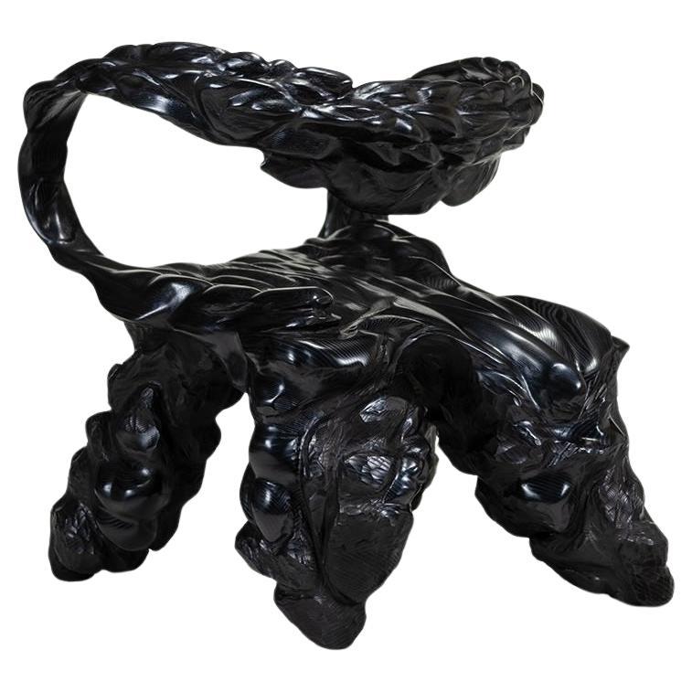 Chaise auto-exploitante par Jan Waterston