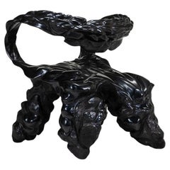 Chaise auto-exploitante par Jan Waterston