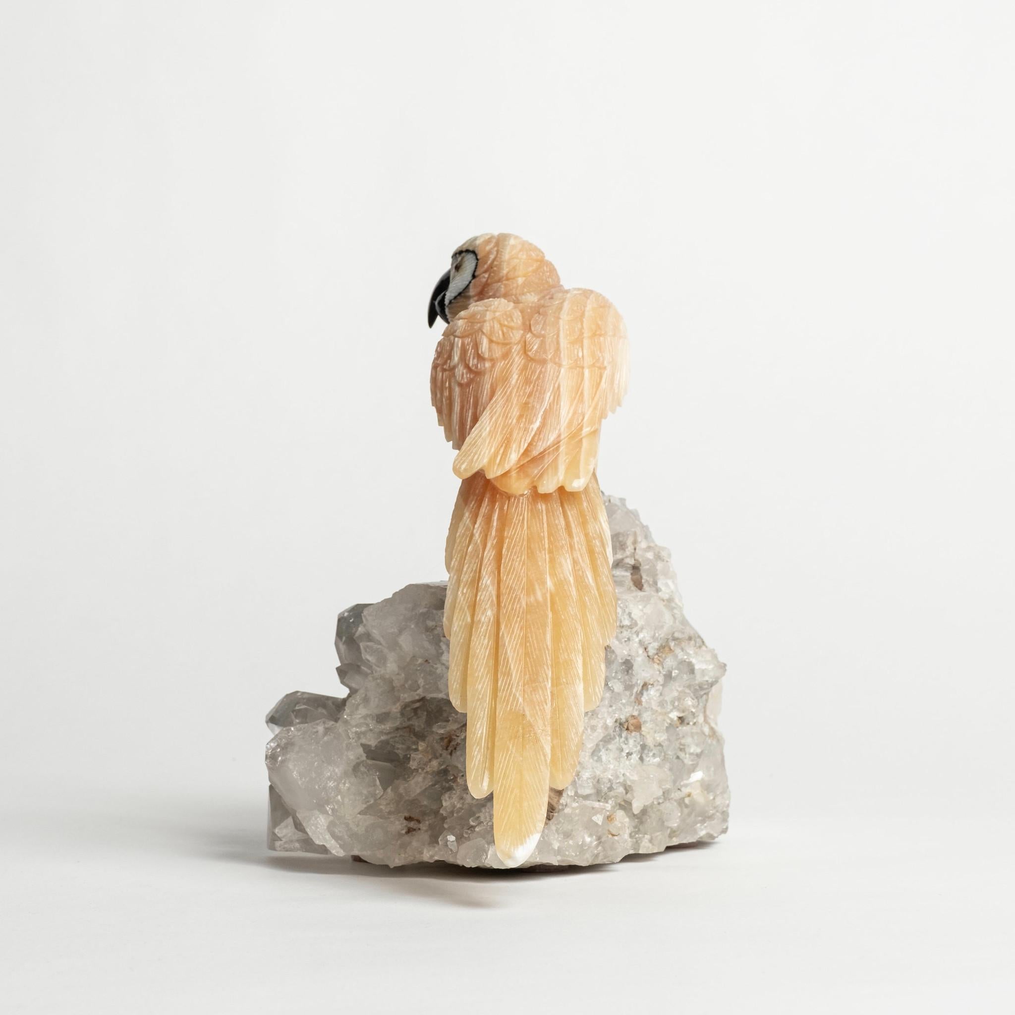 Halbedelstein-Cluster mit Papagei auf Felsquarz-Cluster 2496 (Stein) im Angebot