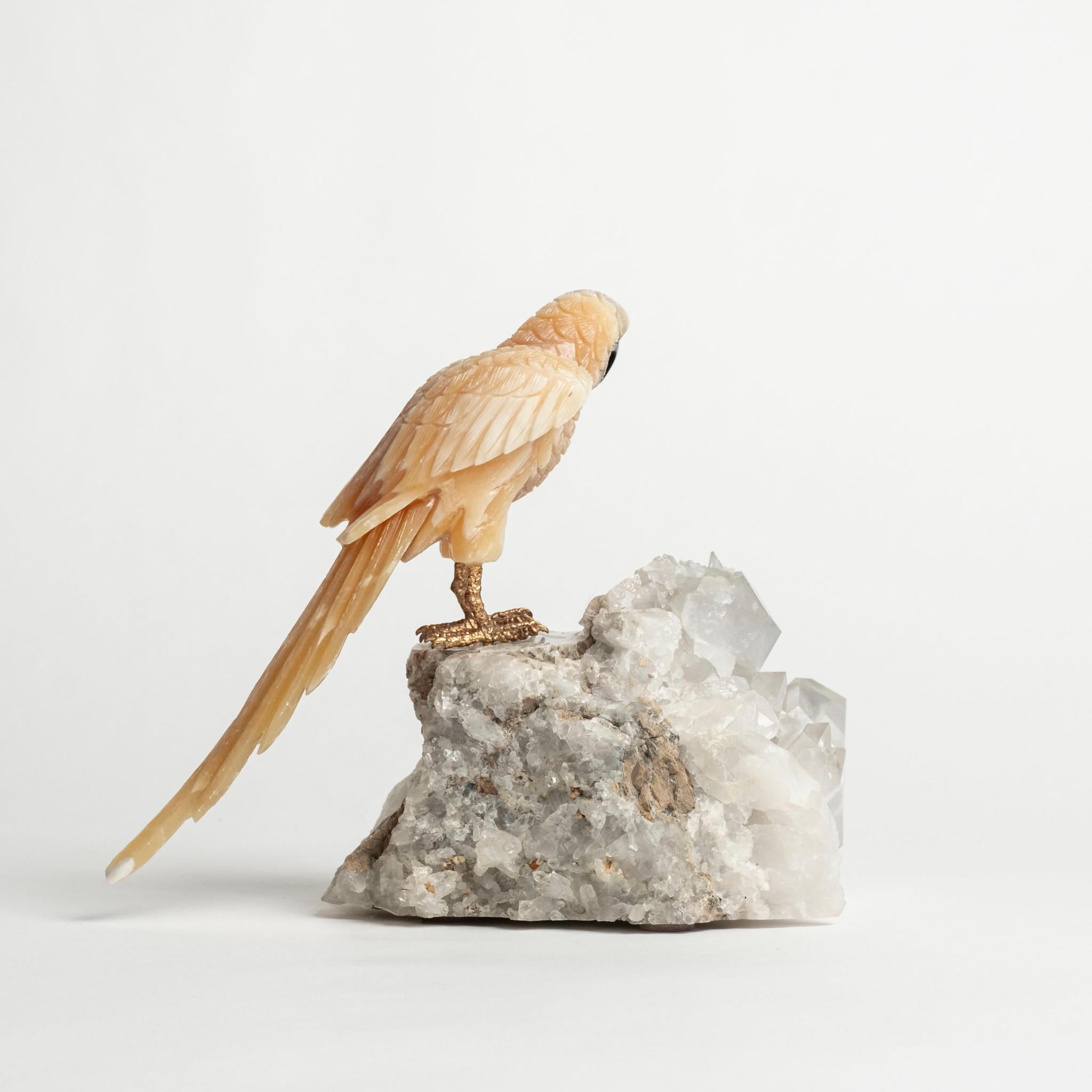 Halbedelstein-Cluster mit Papagei auf Felsquarz-Cluster 2496 im Angebot 1