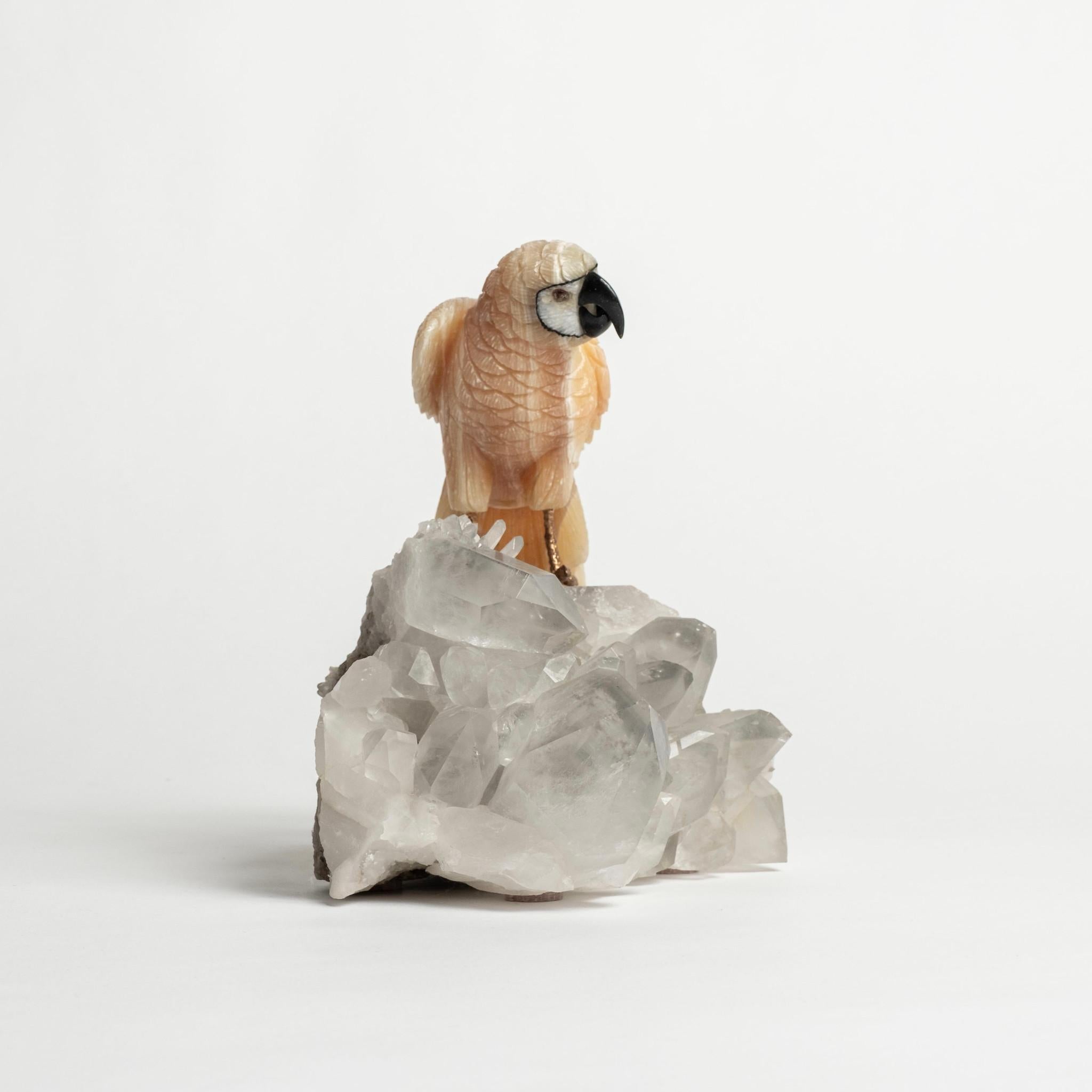 Halbedelstein-Cluster mit Papagei auf Felsquarz-Cluster 2496 im Angebot 2