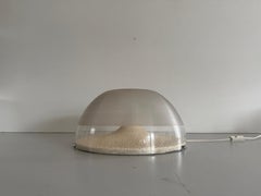 Semi Transparent Metal and Plexiglass Table Lamp by Harvey Guzzini, 1960s, Italy