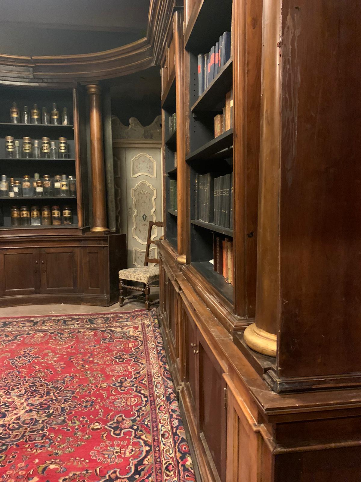 19th Century Semicircular Pharmacy Cabinet, lateral columns embellished and gilted, Italy For Sale