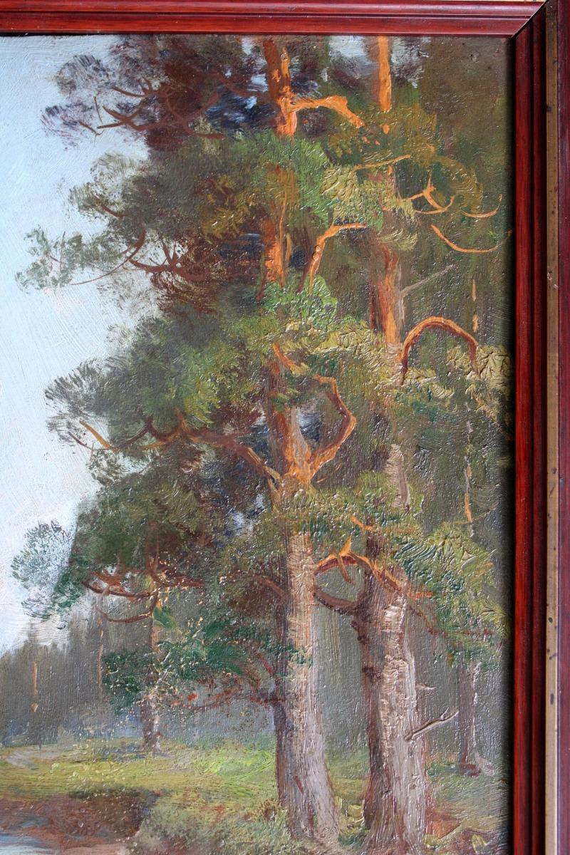 Semyon Sergeevich Platonov
Pine trees on the river bank

Cardboard, oil, 39x20 cm