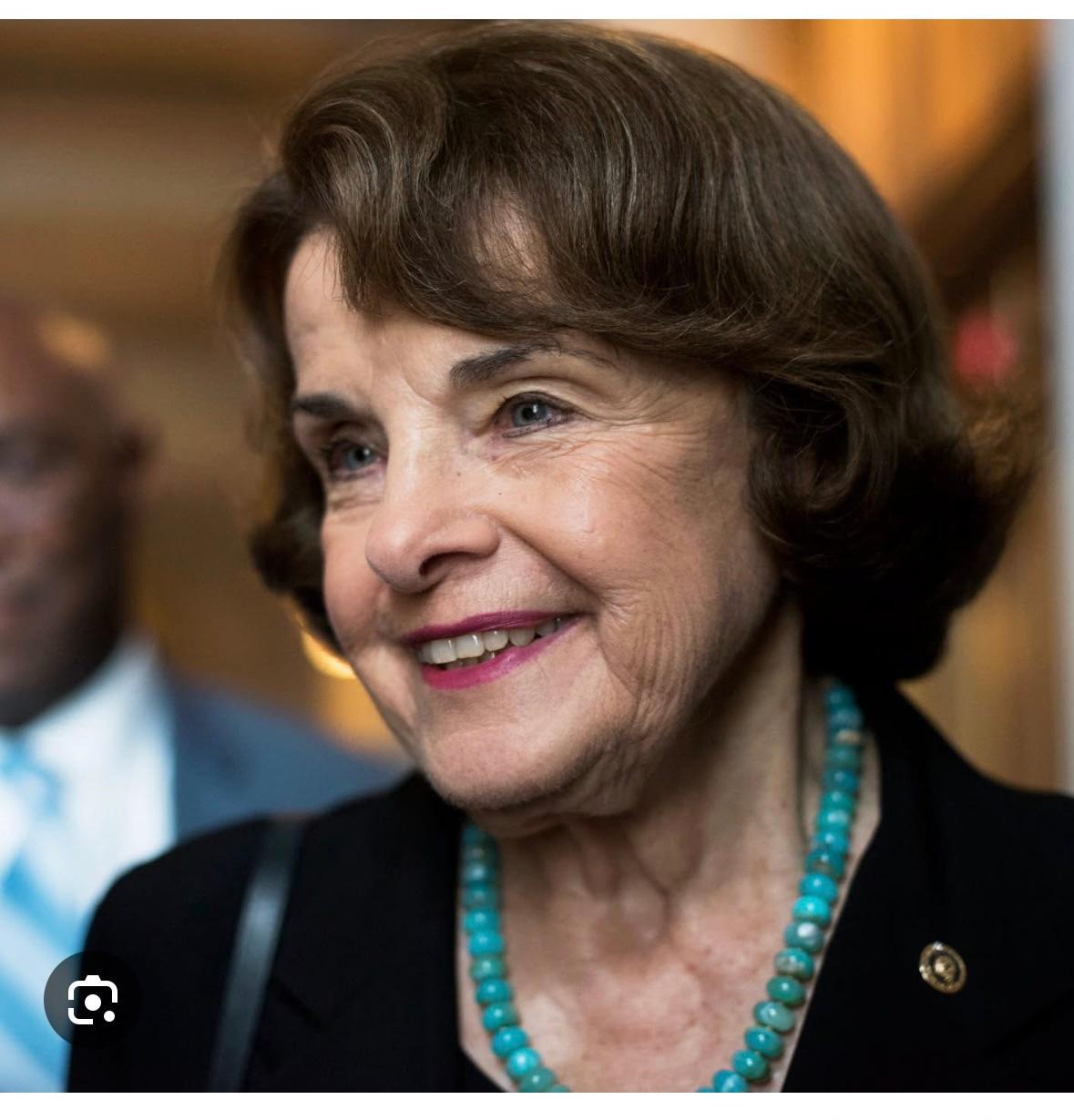 Senator Dianne Feinstein's Turquoise Diamond Enamel Good Luck Charm Bracelet For Sale 6