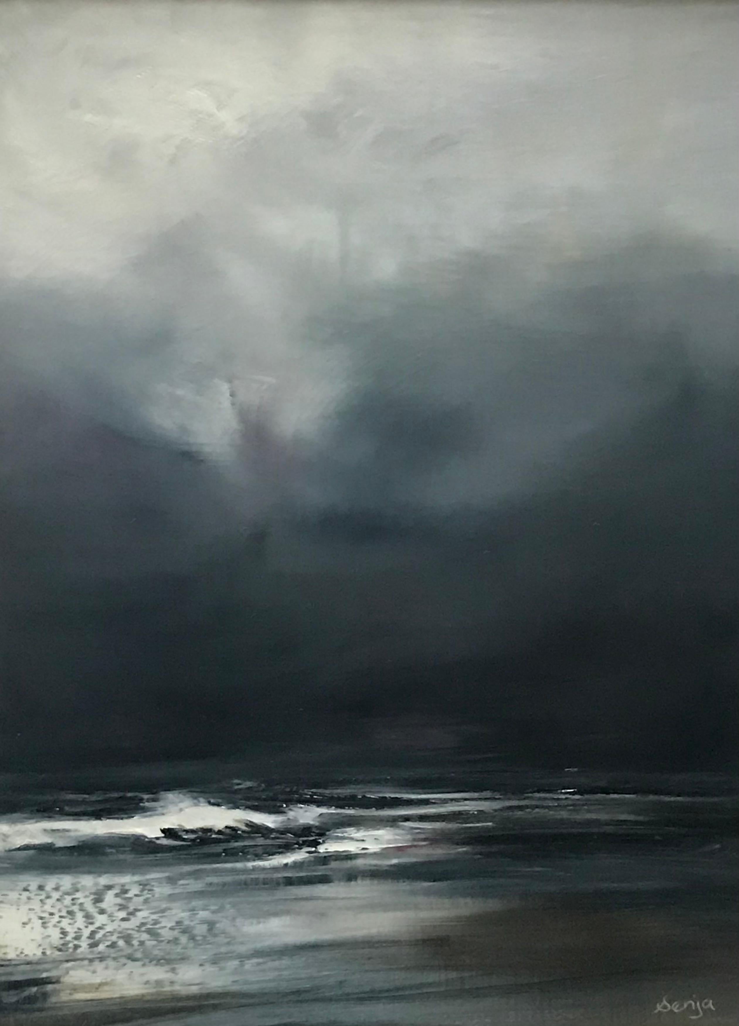 18 x 24cm - image size
28 x 34cm - frame size

Born in Pembrokeshire, Wales, in 1968, Senja Brendon began life by the sea, before moving to the Lake District to grow up surrounded by the breathtaking landscape. Daughter to the outdoor adventure