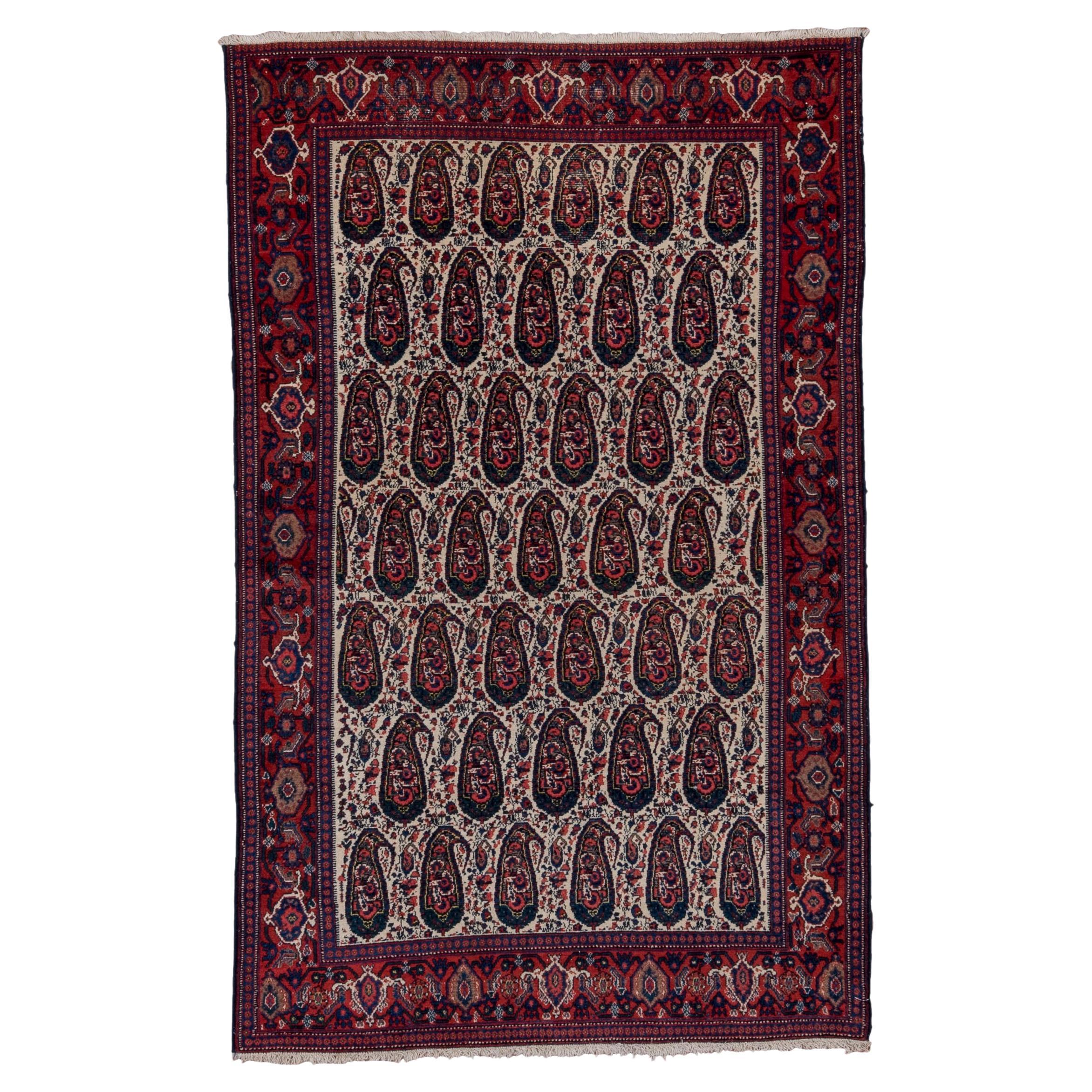 Senne Persian Antique Rug in Various Purple Shades For Sale