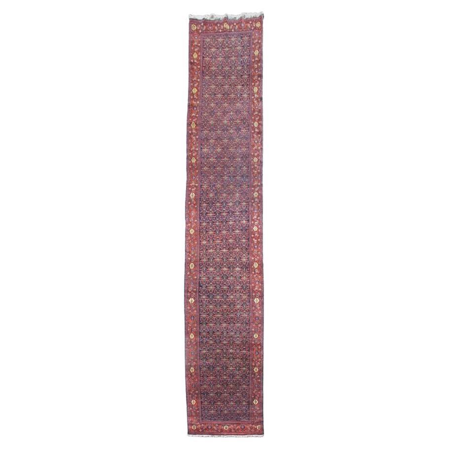 Senneh Runner, Early 20th Century